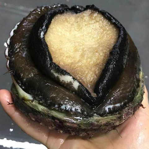 &#21338;&#40060;&#20307;&#32946;&#40;&#20013;&#22269;&#41;&#23448;&#26041;&#32593;&#31449;&#45;&#30331;&#24405;&#20837;&#21475;